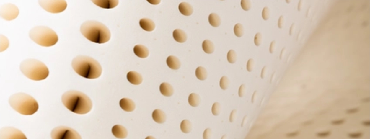 Electropedic Twelve (12) Inch Organic Organic Mattress Phoenix