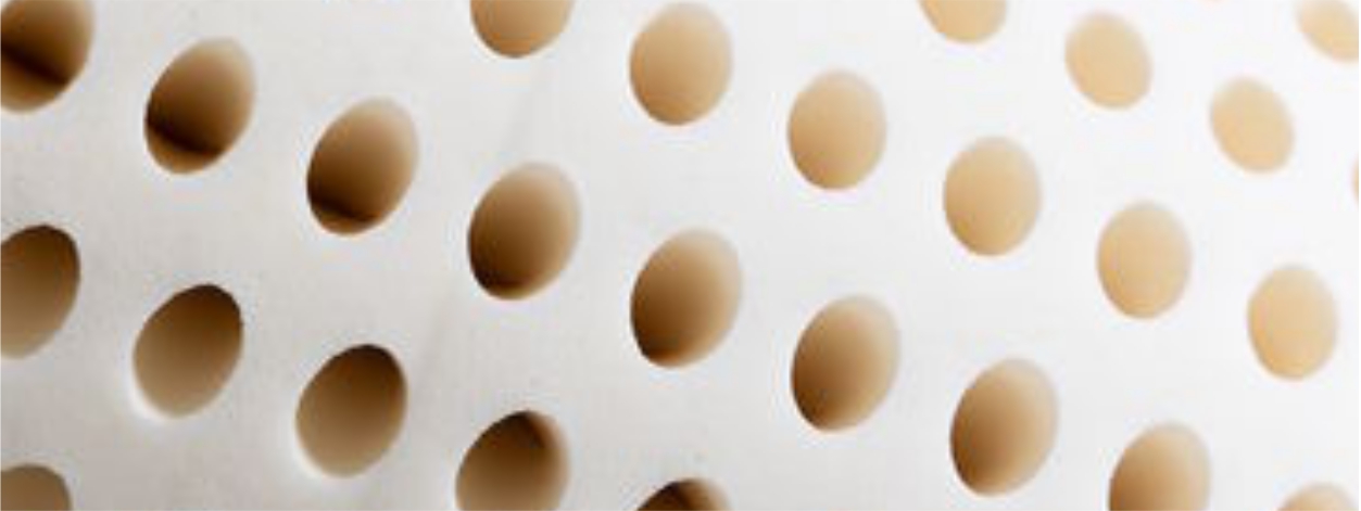 Electropedic Ten (10) Inch Organic Latex Mattress Phoenix